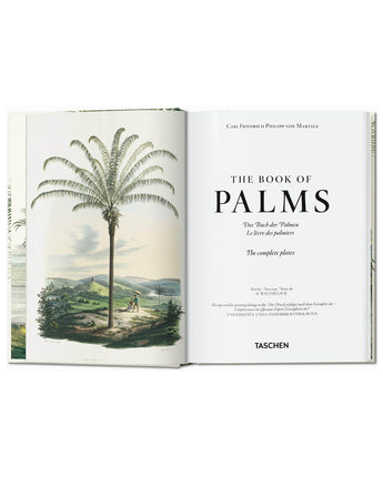 Martius. The Book of Palms. 45th Ed.