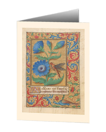 Chicory with a Dragonfly Notecard