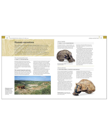 World History: From the Ancient World to the Information Age