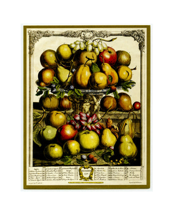 December Fruits Boxed Notecards