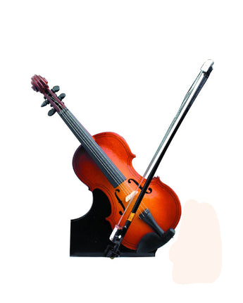 Instrument Miniatures with Case and Stand