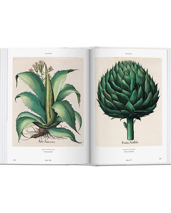 Basilius Besler’s Florilegium: The Book of Plants