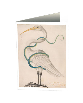 Heron Encircled by a Snake Notecard
