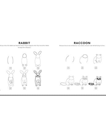 How to Draw Woodland Creatures For Kids