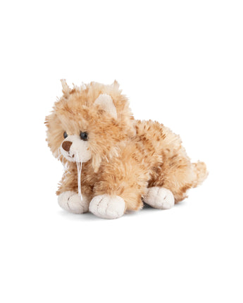 Little Tabby Plush