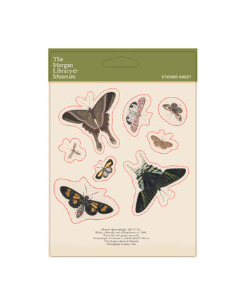 Herman Hestenburgh Insects Sticker Sheet