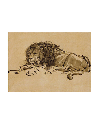 Rembrandt Drawings Boxed Notecards
