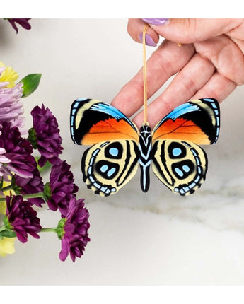 False Numberwing Butterfly Ornament Notecard