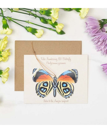 False Numberwing Butterfly Ornament Notecard