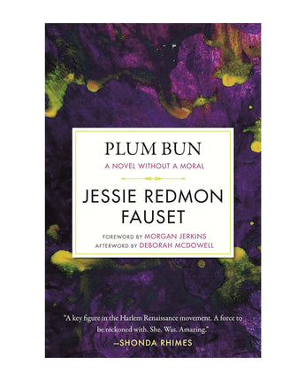 Plum Bun: A Novel without a Moral