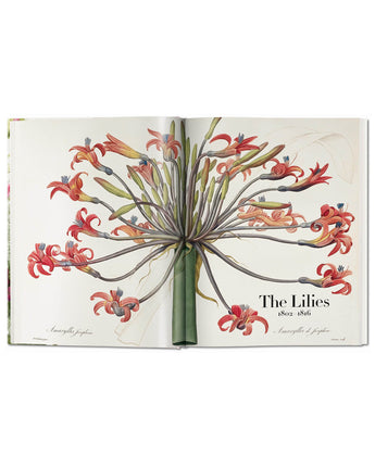 Redouté. The Book of Flowers. 45th Ed.
