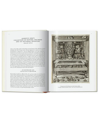Seba. Cabinet of Natural Curiosities. 40th Ed.