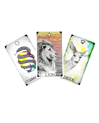 The Wild Unknown Animal Spirit Deck and Guidebook