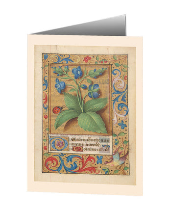 Germander Speedwell with a Ladybug Notecard