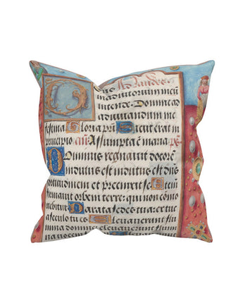 Shower of Coins Pillow