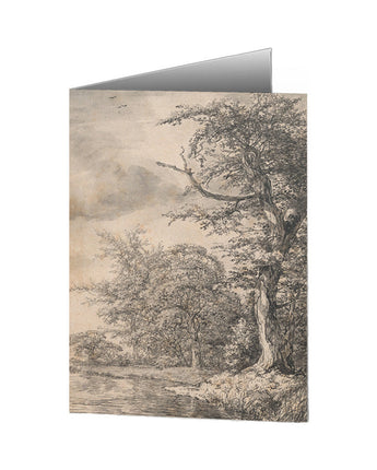 Sun Dappled Trees on a Stream Notecard
